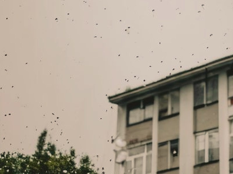 TribeX 超能力殺戮